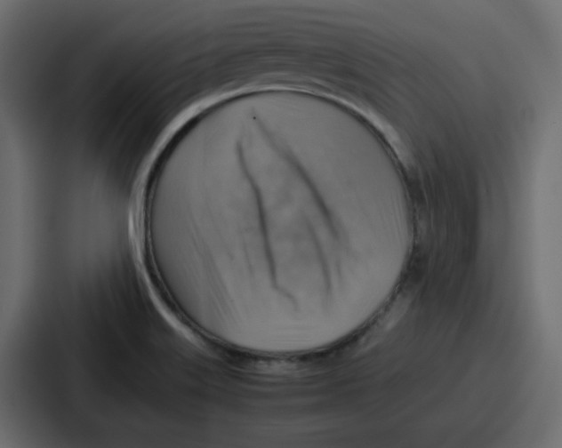 X0000086771515200705111725