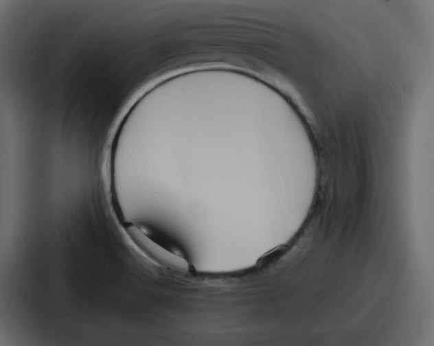X0000086771516200705111725