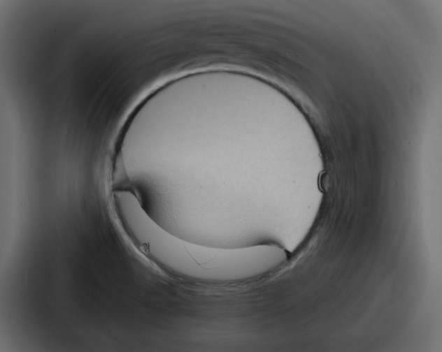 X0000086771518200705111725