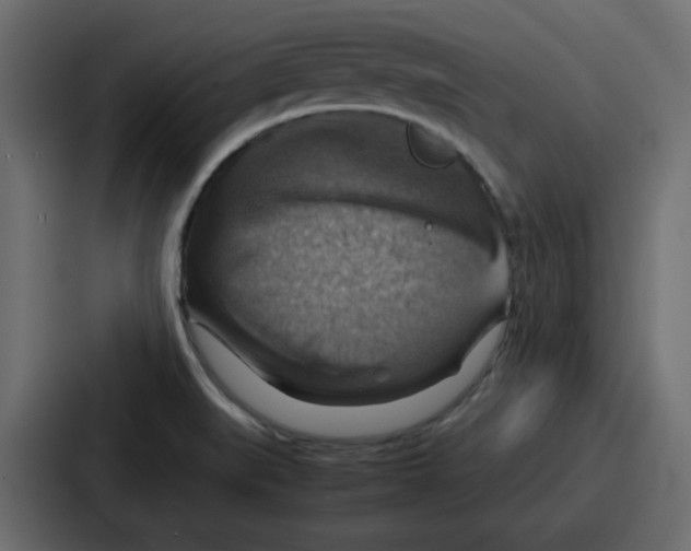 X0000086771519200705111725