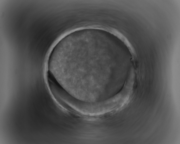X0000086771520200705111725