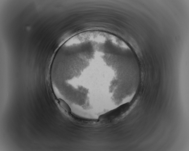 X0000086771521200705111725