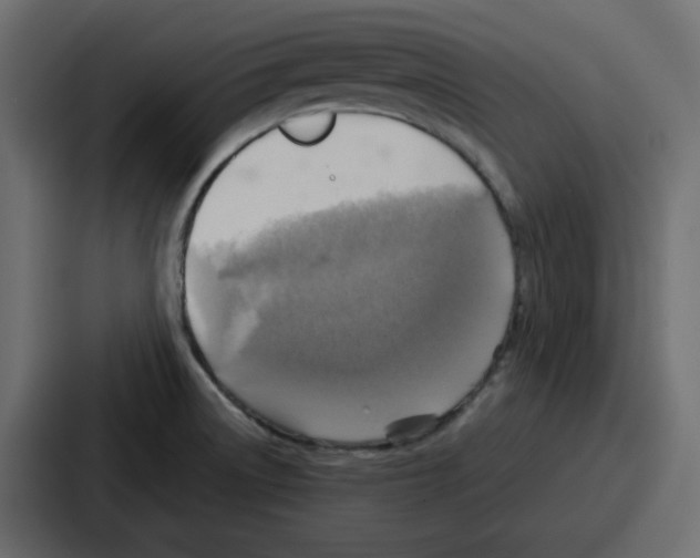 X0000086771522200705111725