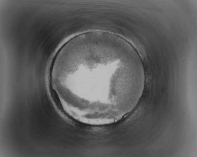 X0000086771523200705111725