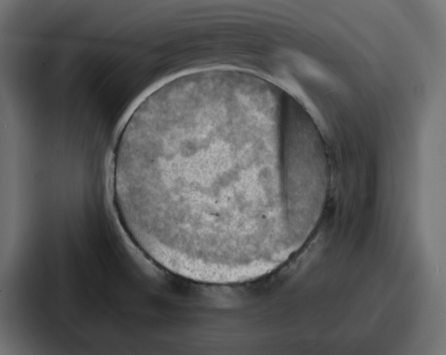 X0000086771524200705111725