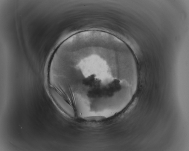 X0000086771525200705111725