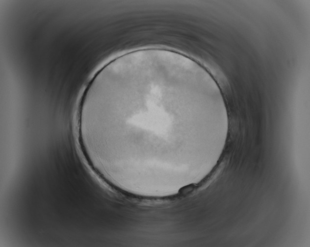 X0000086771526200705111725
