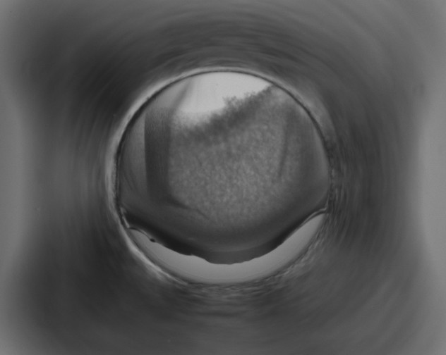 X0000086771527200705111725