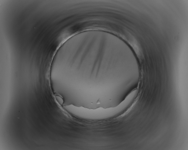 X0000086771529200705111725