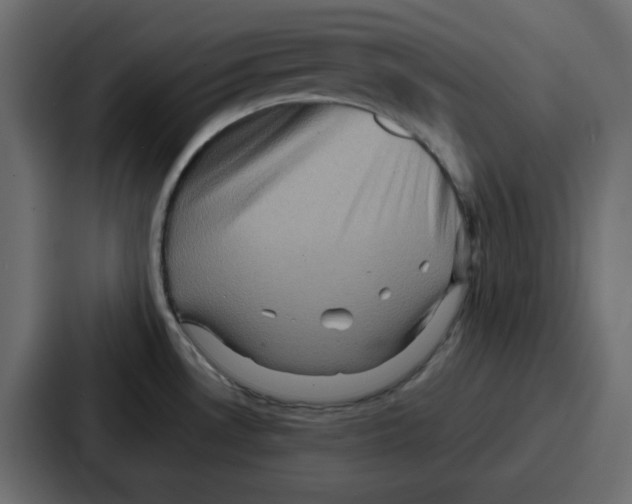 X0000086771530200705111725