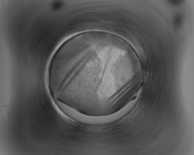 X0000086771531200705111725