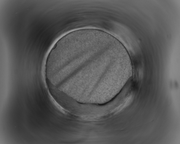 X0000086771532200705111725