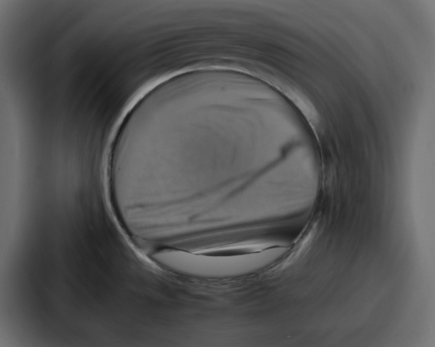 X0000086771533200705111725