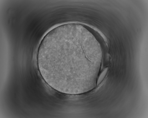 X0000086771534200705111725