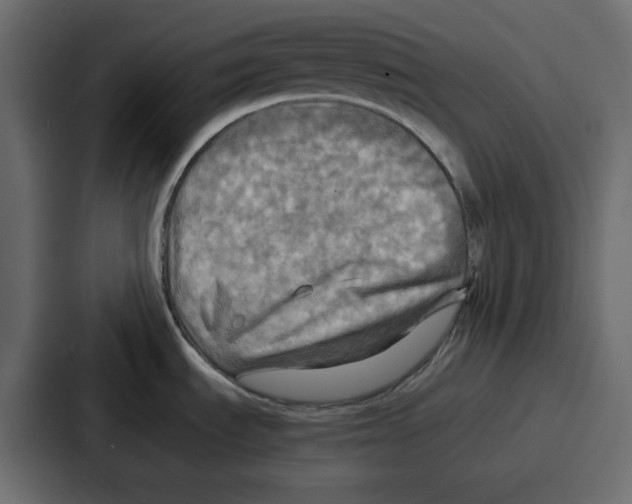 X0000086771535200705111725
