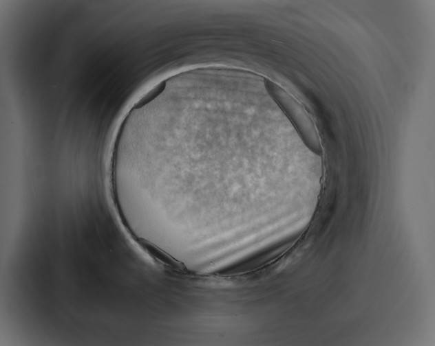 X0000086771536200705111725