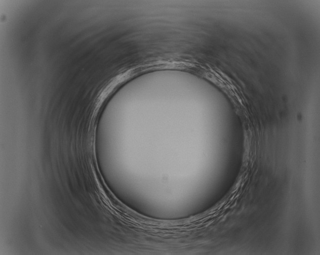 X0000086780003200704130841