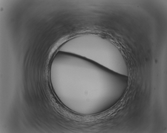 X0000086780006200704130841