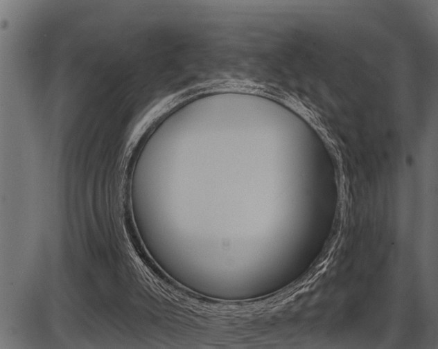 X0000086780007200704130841