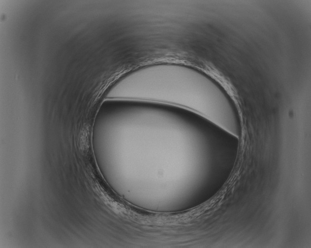 X0000086780009200704130841