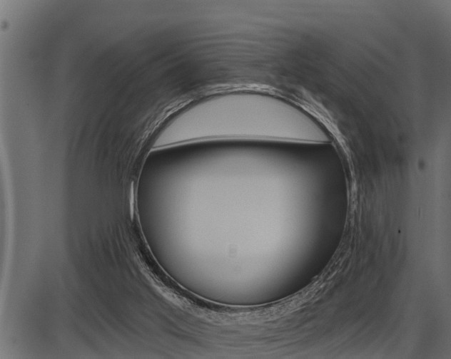 X0000086780013200704130841