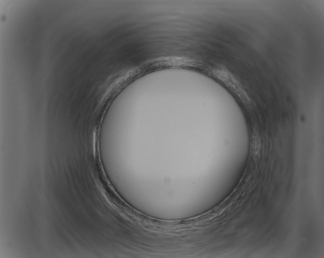 X0000086780014200704130840