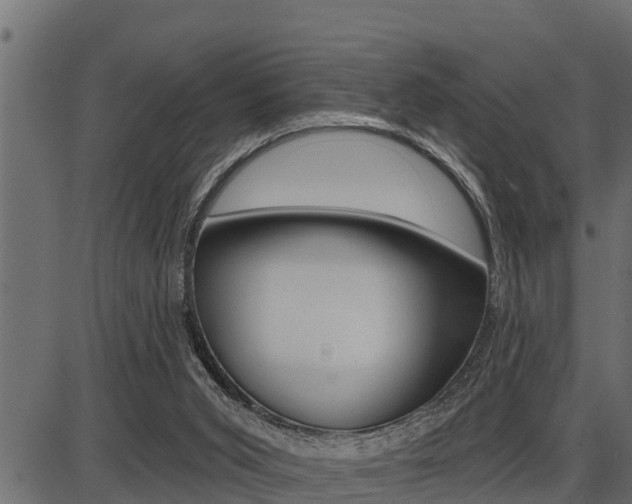 X0000086780015200704130840