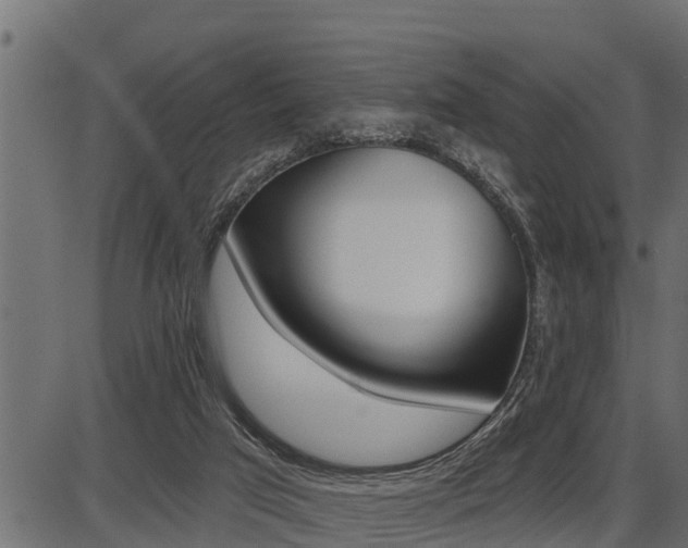 X0000086780017200704130840
