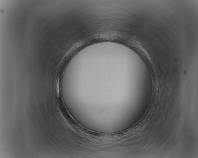 X0000086780020200704130840