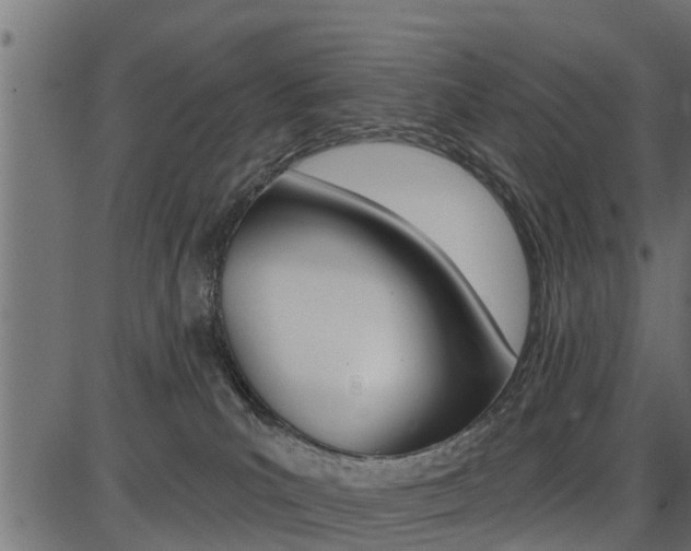 X0000086780039200704130840