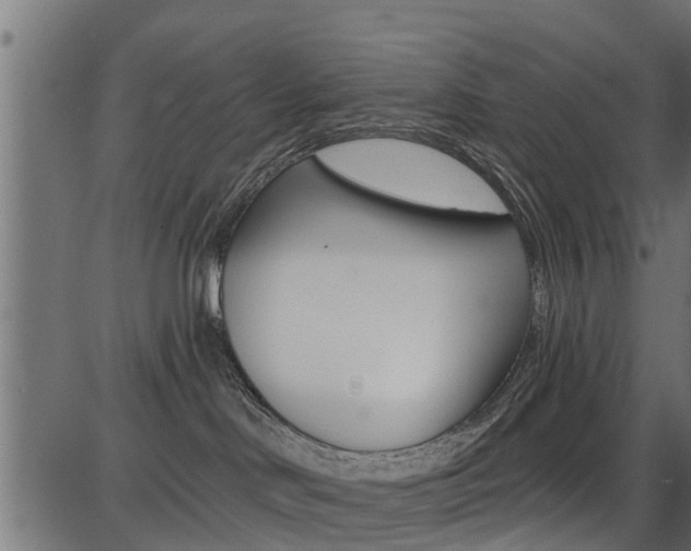 X0000086780046200704130840