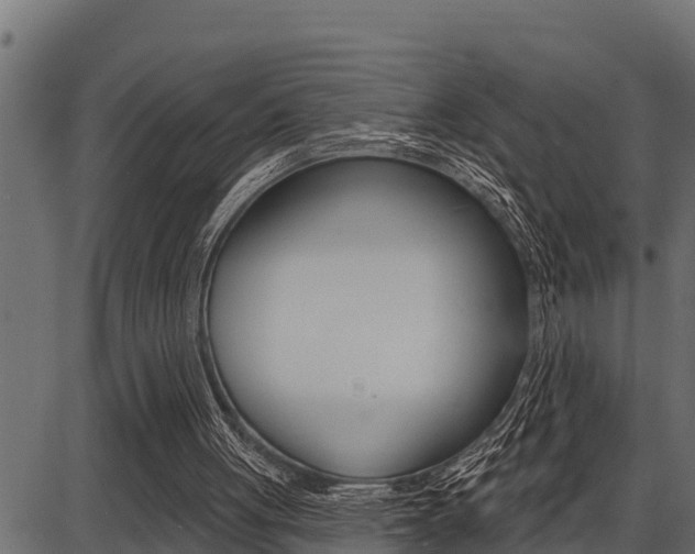 X0000086780051200704130839