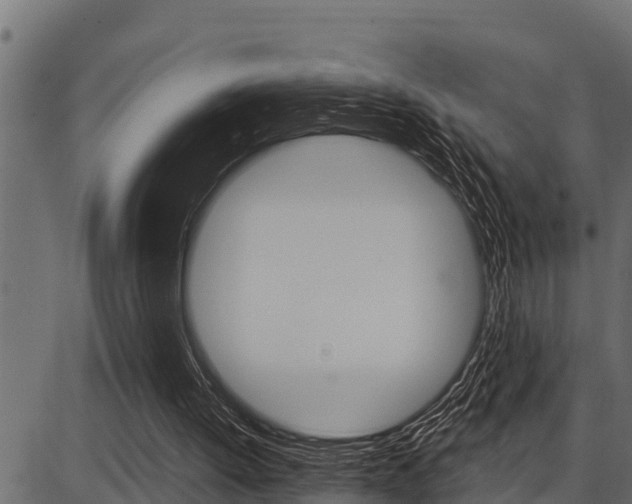X0000086780052200704130839