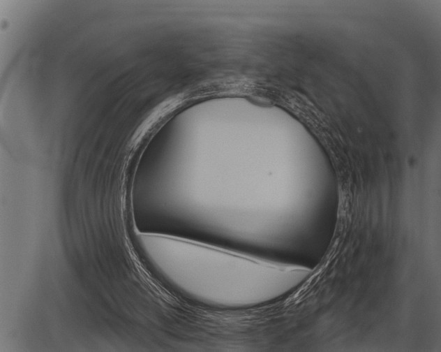 X0000086780054200704130839