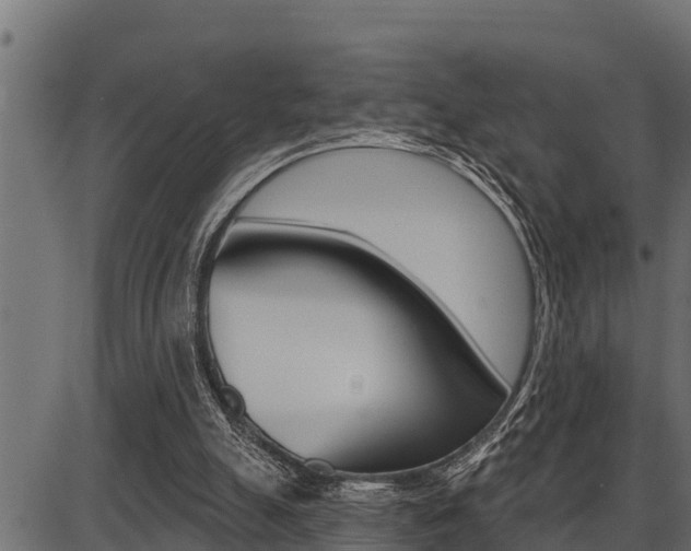 X0000086780055200704130839