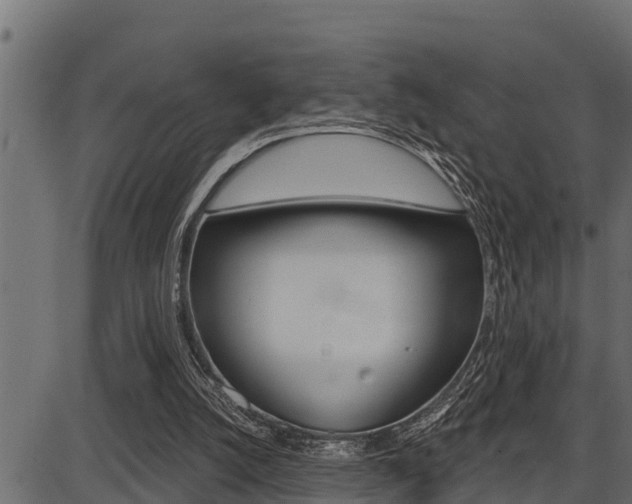 X0000086780056200704130839