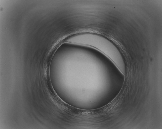 X0000086780064200704130839