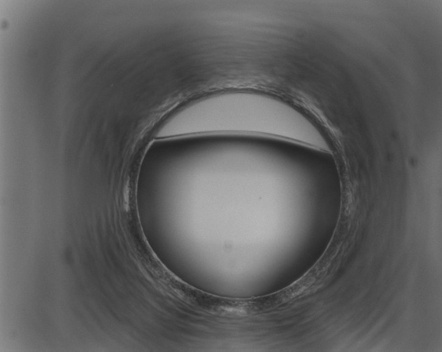 X0000086780068200704130839