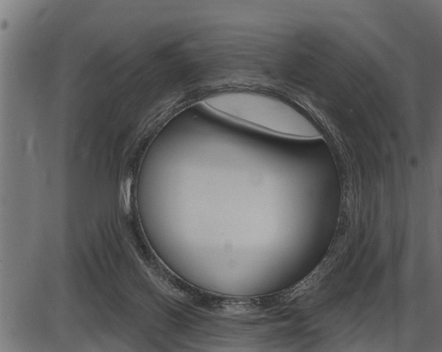 X0000086780070200704130839