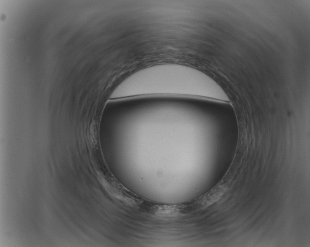 X0000086780088200704130840