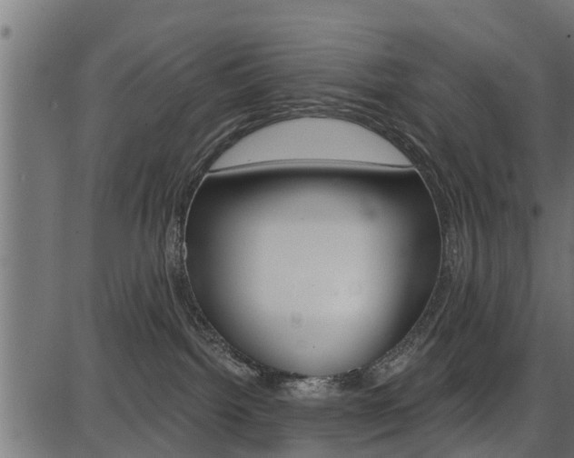 X0000086780092200704130840