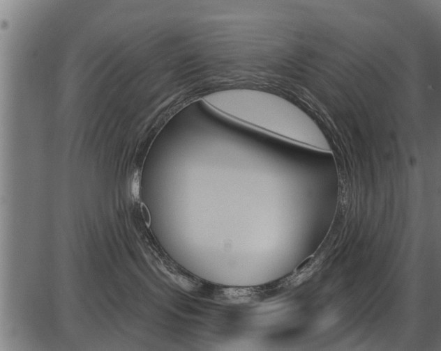 X0000086780095200704130840