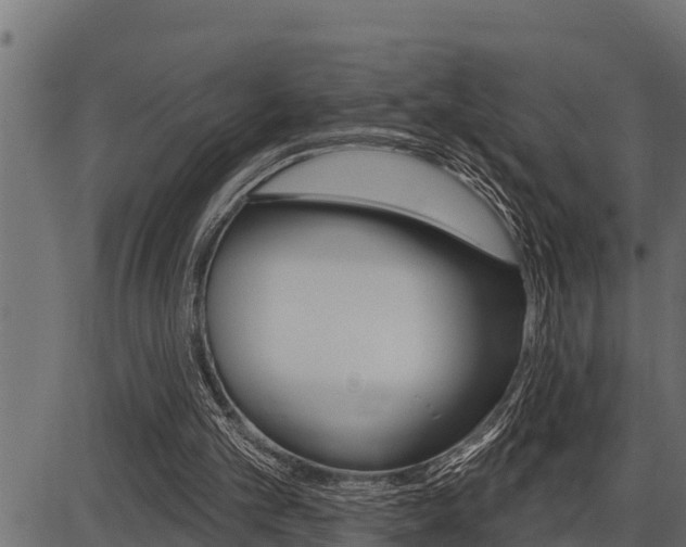 X0000086780101200704130839