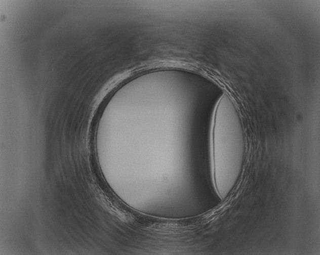 X0000086780104200704130839