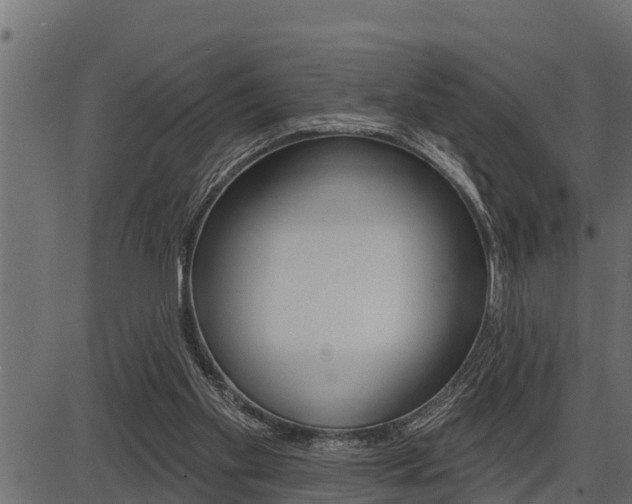 X0000086780109200704130839