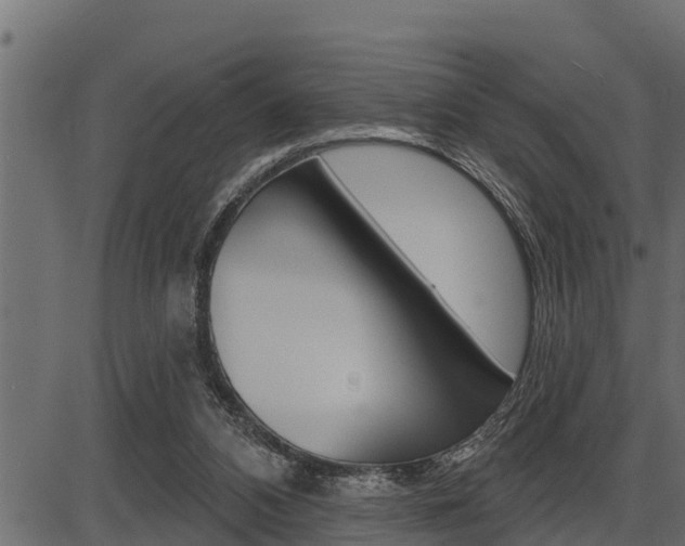 X0000086780112200704130839