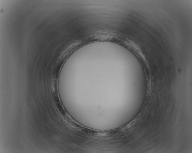 X0000086780114200704130839