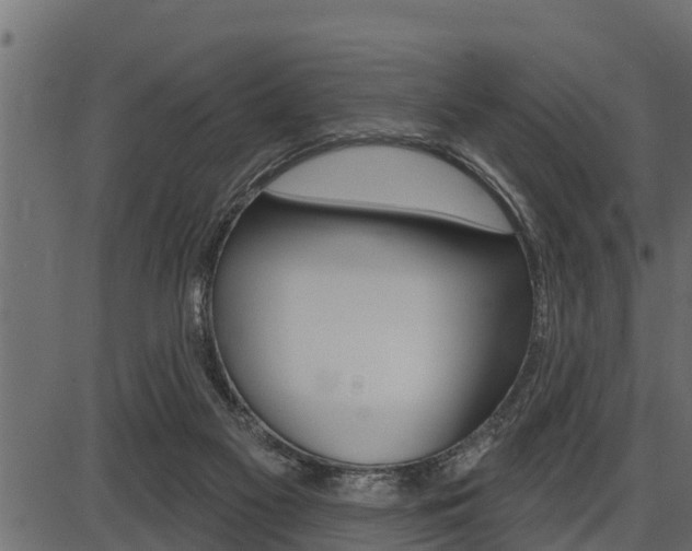 X0000086780117200704130839