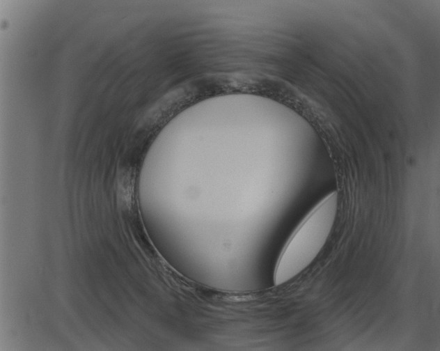 X0000086780129200704130839