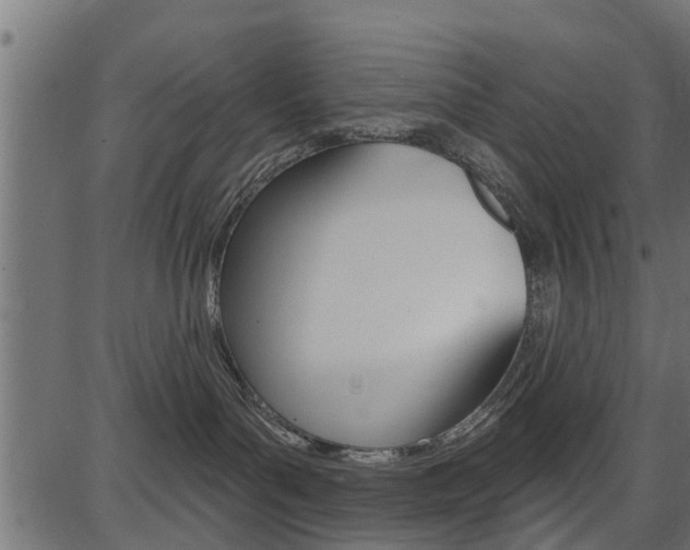 X0000086780143200704130838